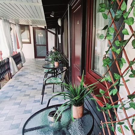 Pensiunea Red Rose Apartments Timişoara Eksteriør bilde