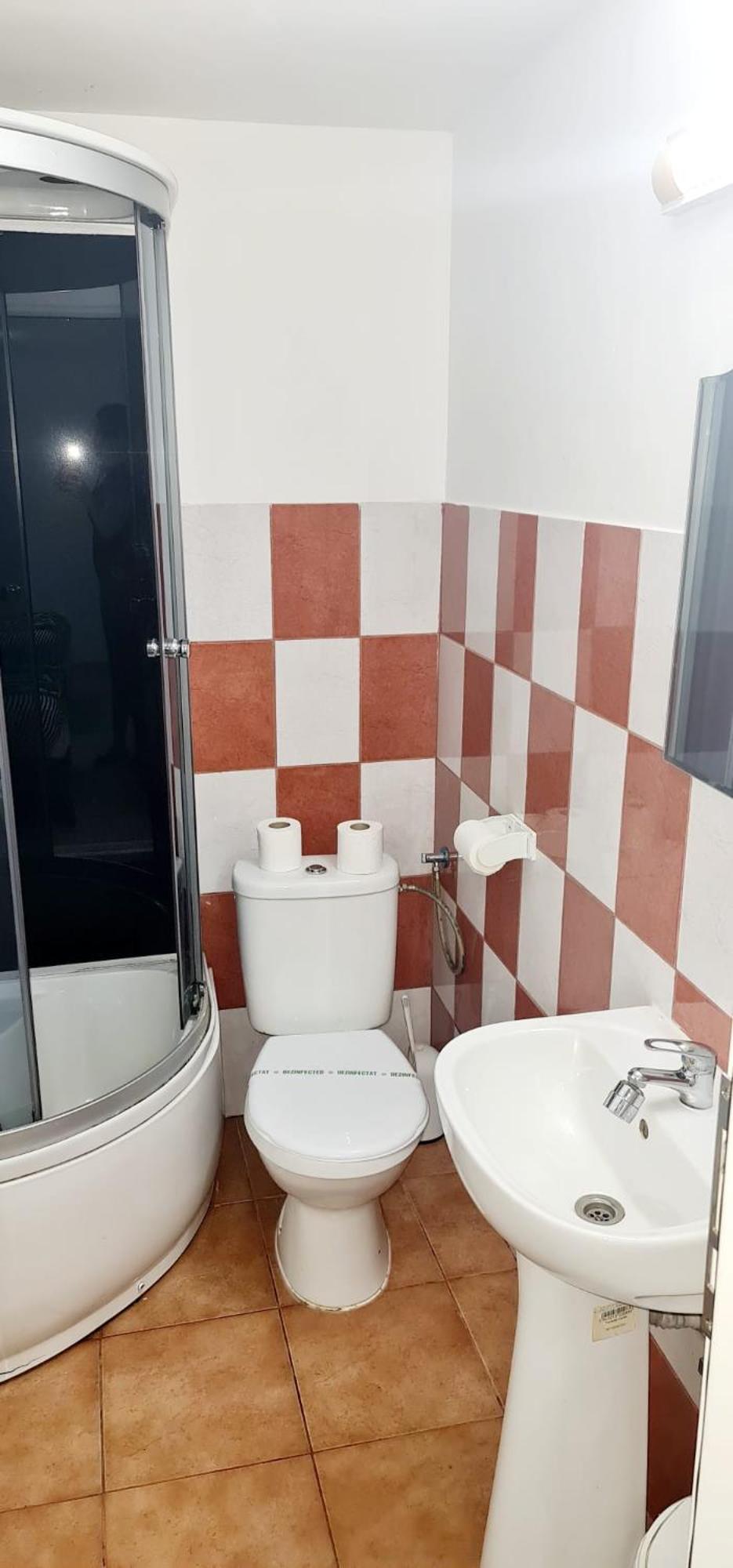 Pensiunea Red Rose Apartments Timişoara Eksteriør bilde
