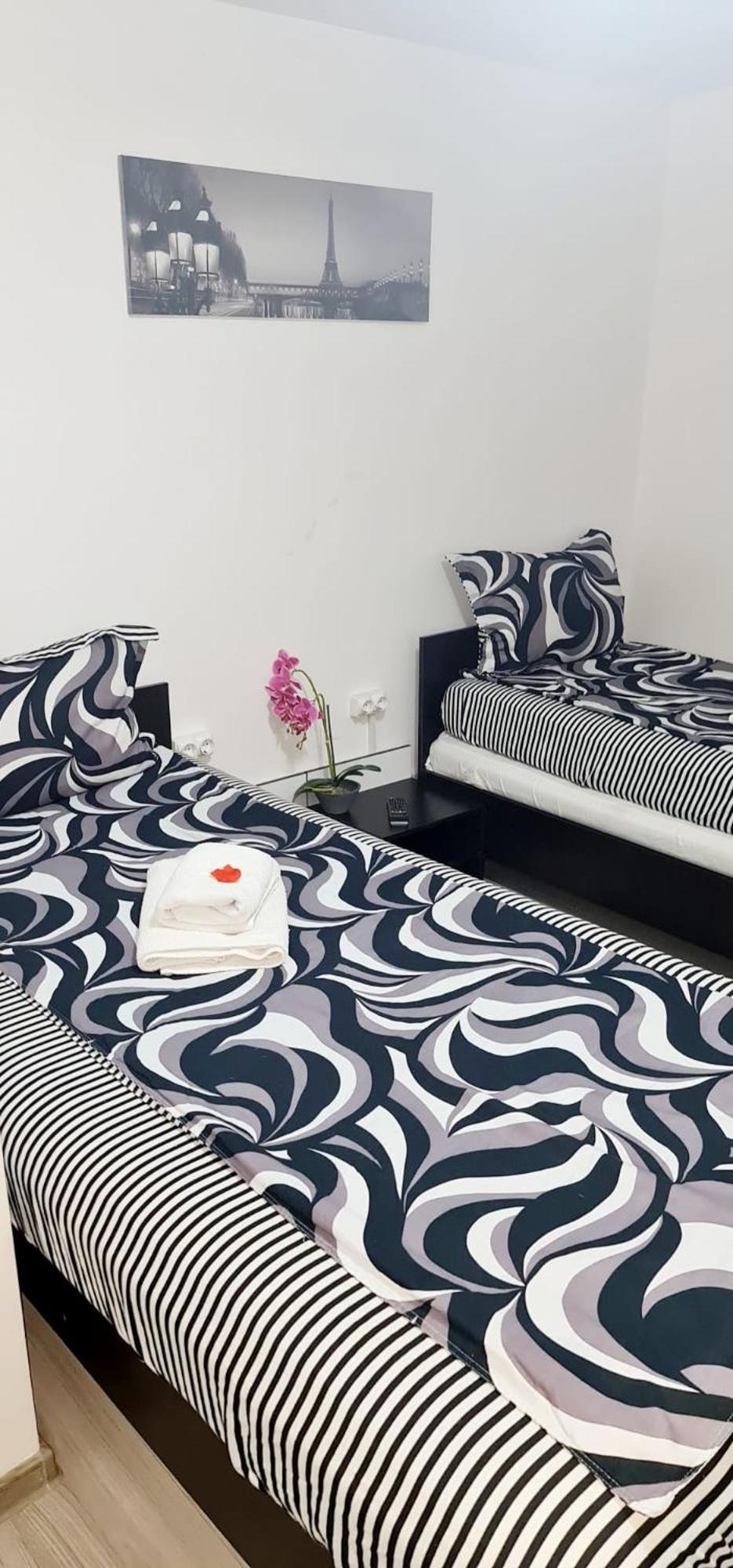 Pensiunea Red Rose Apartments Timişoara Eksteriør bilde
