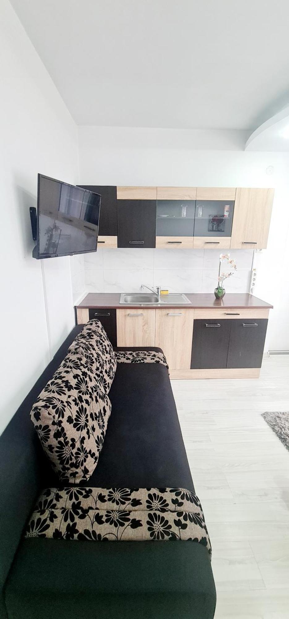 Pensiunea Red Rose Apartments Timişoara Eksteriør bilde