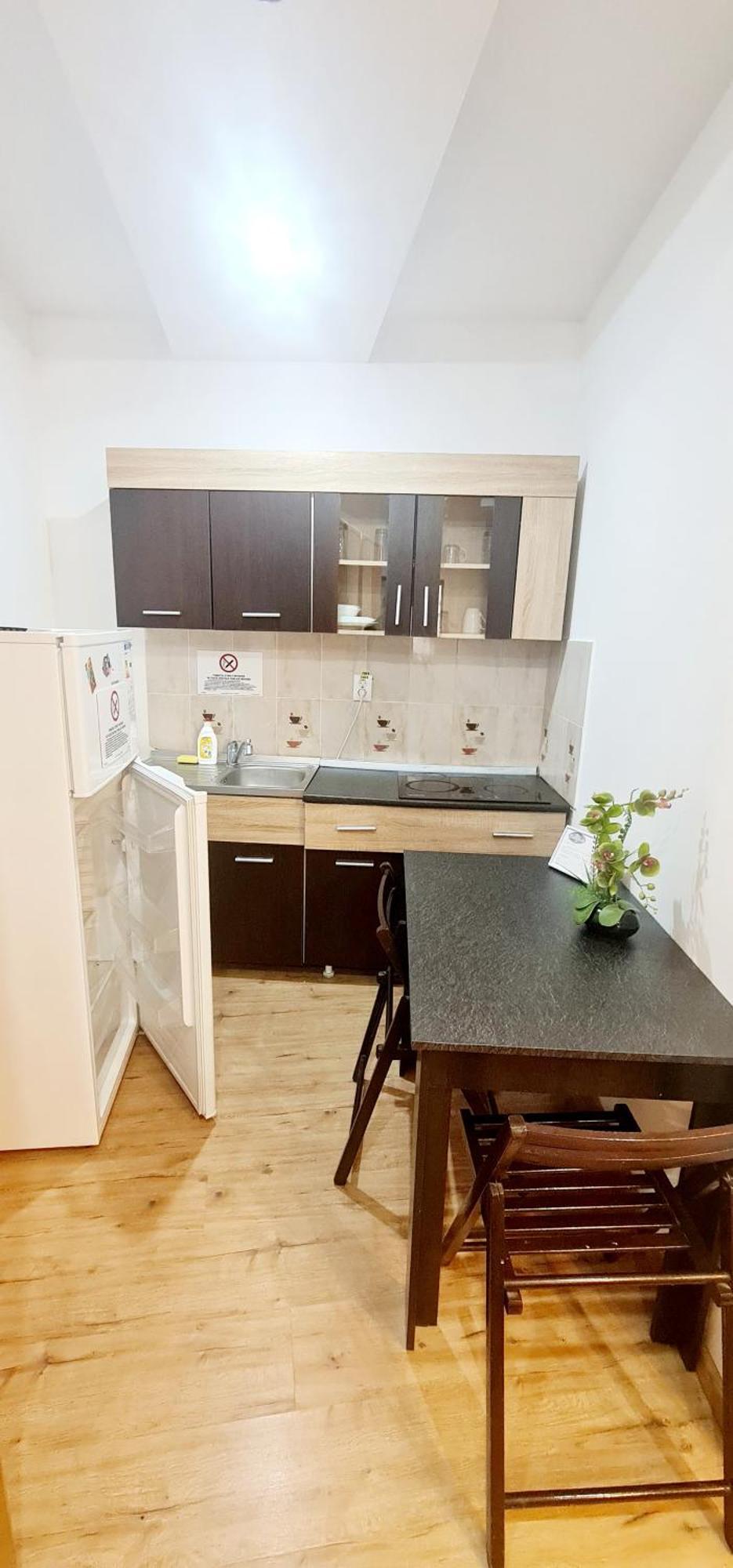 Pensiunea Red Rose Apartments Timişoara Eksteriør bilde