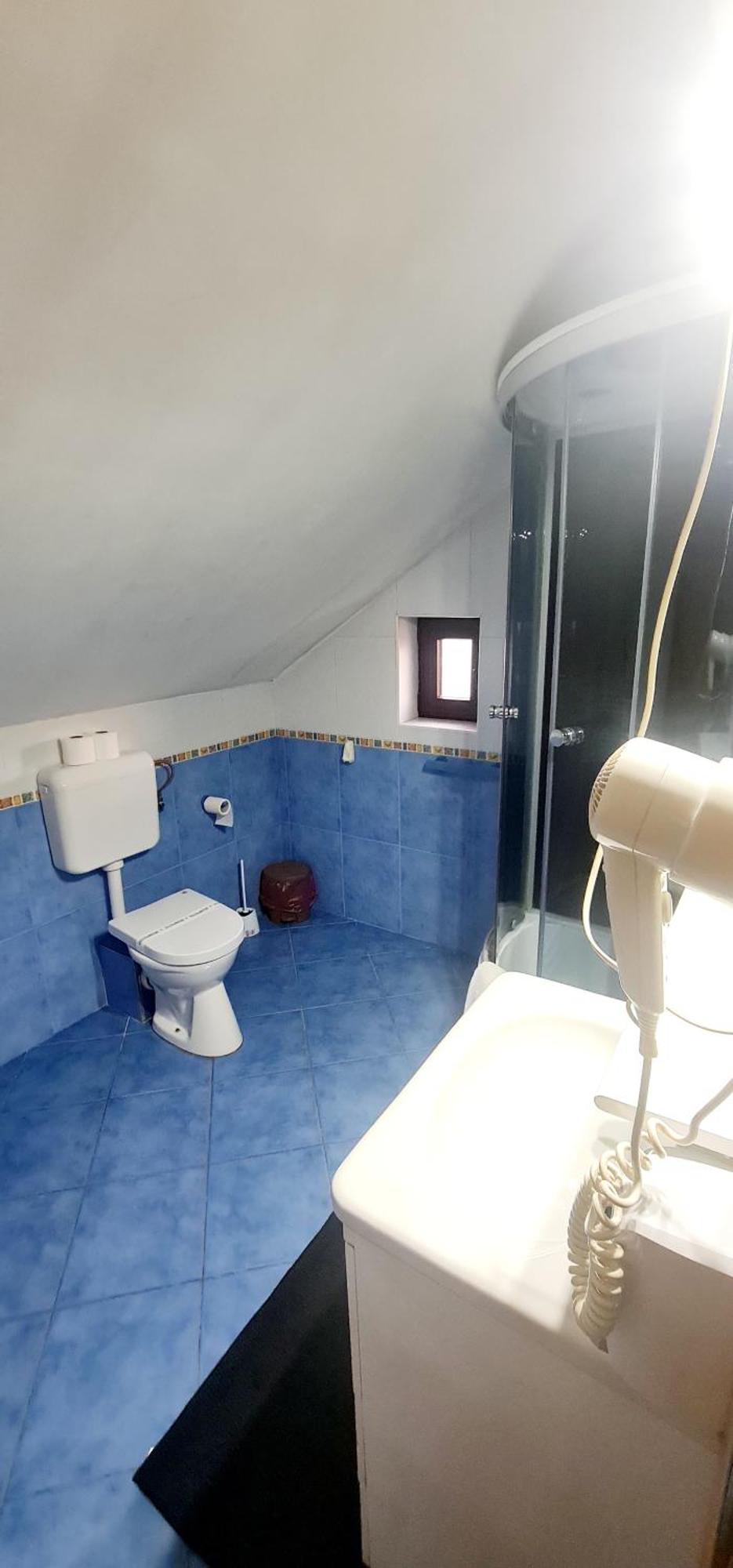 Pensiunea Red Rose Apartments Timişoara Eksteriør bilde